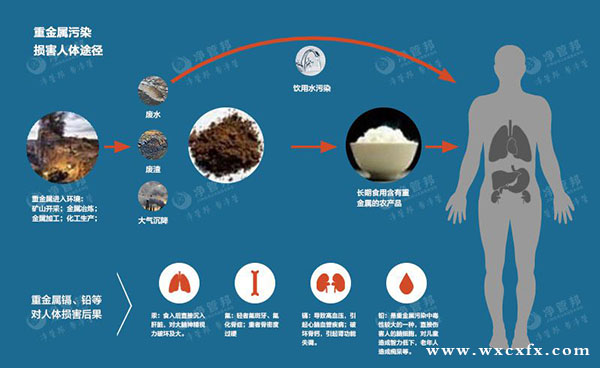 重金屬污染對人體的危害 /cxyq/20190826110214-FmJuhLmVKhddOTFIcy1gtyhrT1FV.jpg